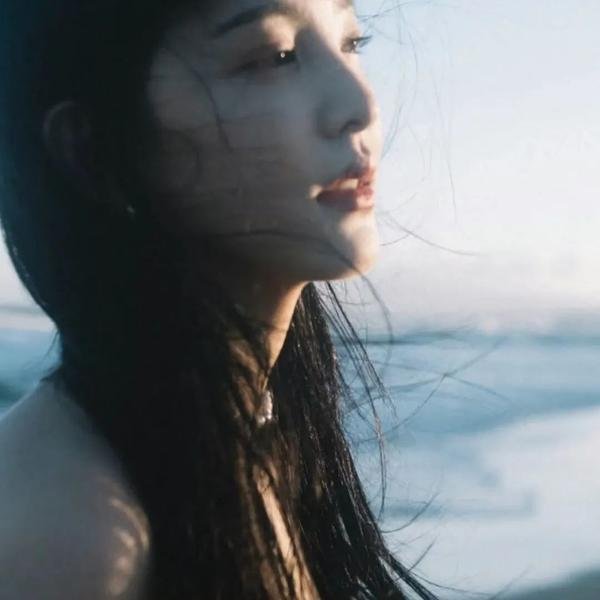 安妮回忆录